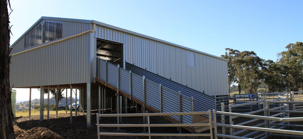 Shearing Shed